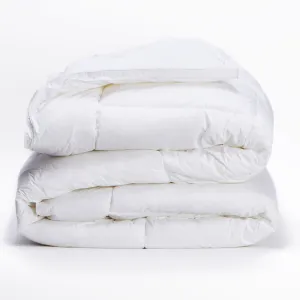 Valentino Natural Down Comforter